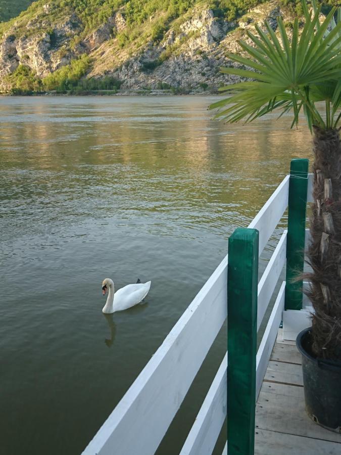 Apartman Barka Golubac Exterior foto